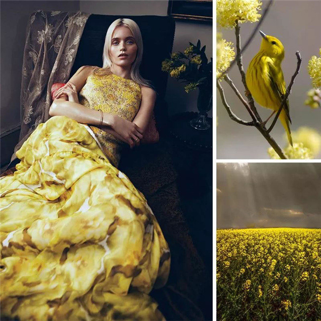 郑州家装公司卧室窗帘配色案例，攻略都市时尚风潮