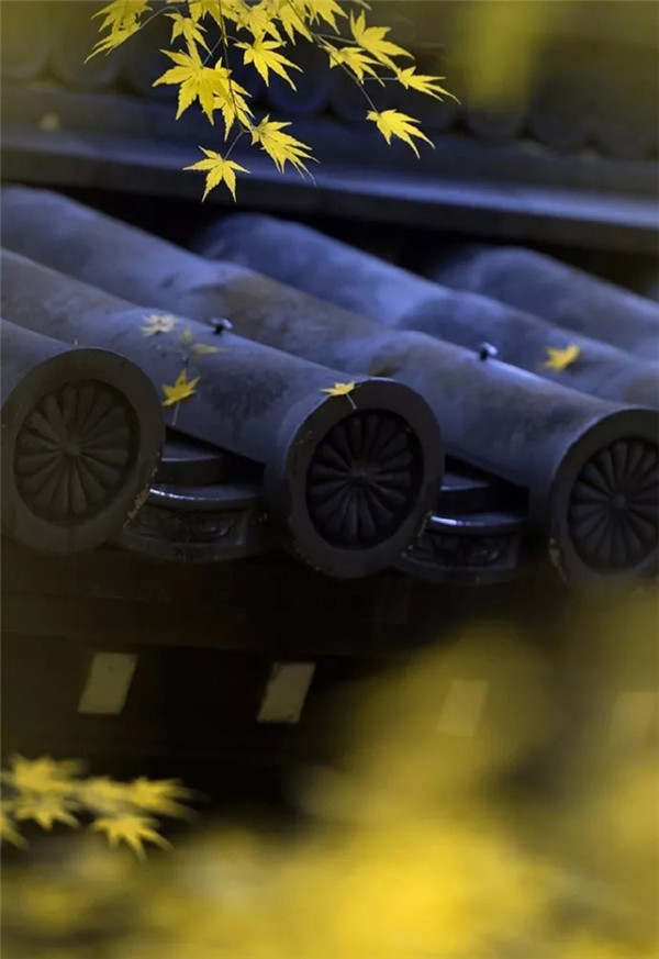 东易力天装饰|站在屋顶看中国, 一部流传千年的石刻史书