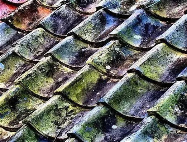 东易力天装饰|站在屋顶看中国, 一部流传千年的石刻史书