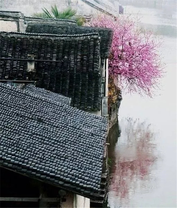 东易力天装饰|站在屋顶看中国, 一部流传千年的石刻史书